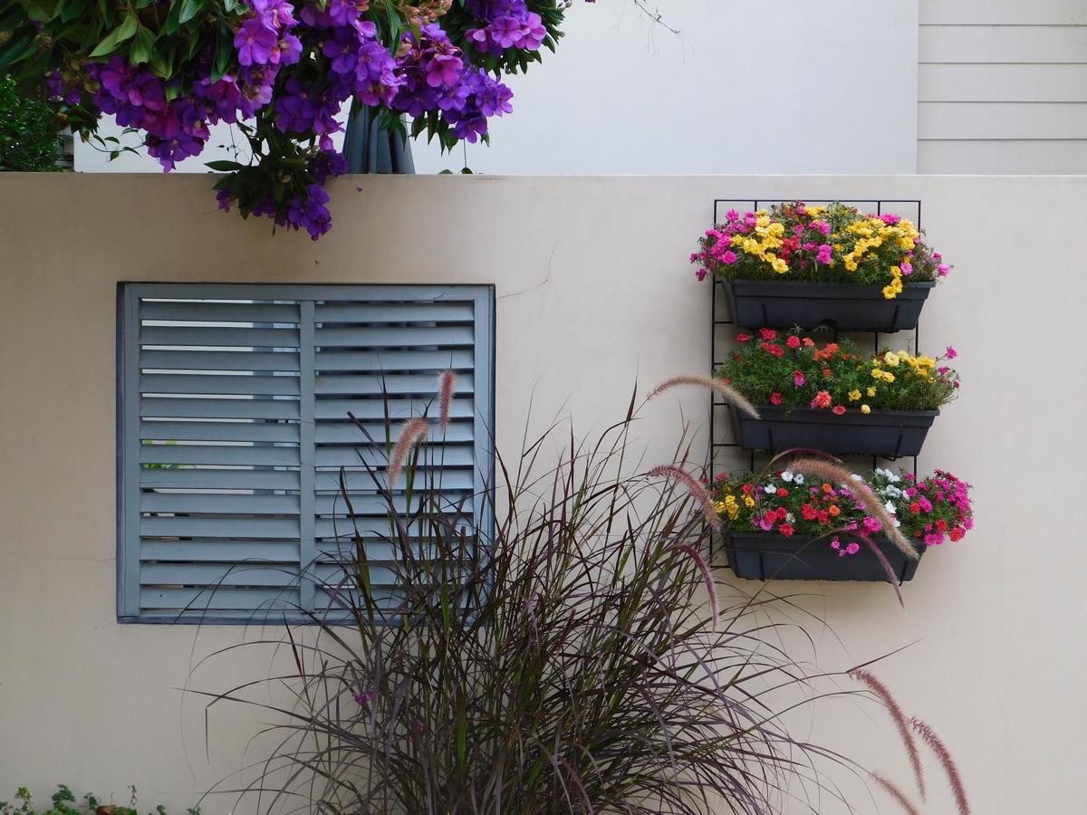 Beachport Bed & Breakfast Port Macquarie Exteriör bild